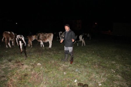 Köy halkı sabaha kadar tüfekle çakal ve kurt nöbeti tuttu