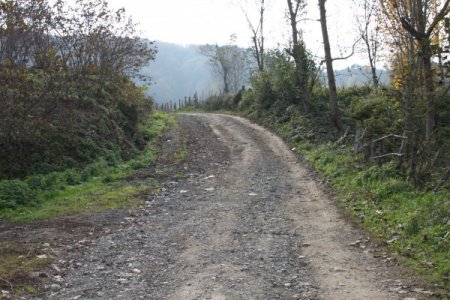 Köy halkı yollarının yapılmasını istiyor