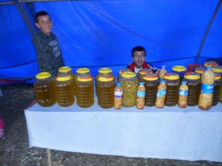 Köylü, zeytinini marka yapmak için festival düzenledi