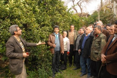 Köylü çiftçilere kahvehanede ders bahçede uygulama