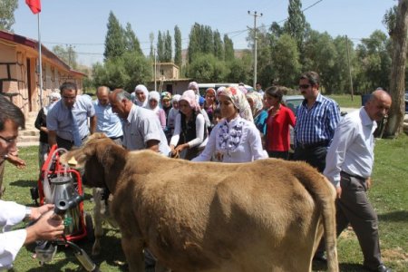 Köylü Kadınlar İçin Büyükbaş Hayvan Bakım Kursu Açıldı