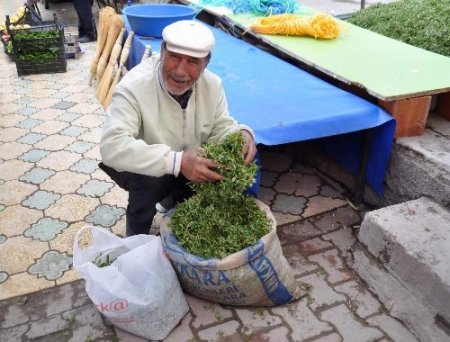 Köylü kadınların geçim kaynağı madımak