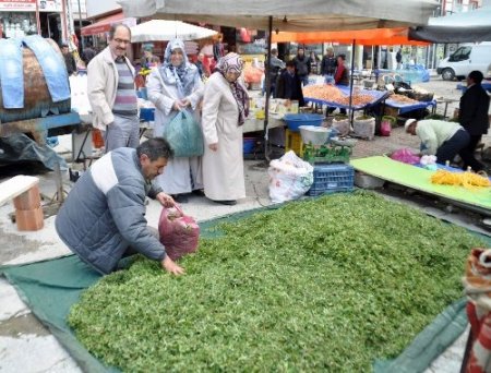 Köylü kadınların geçim kaynağı madımak