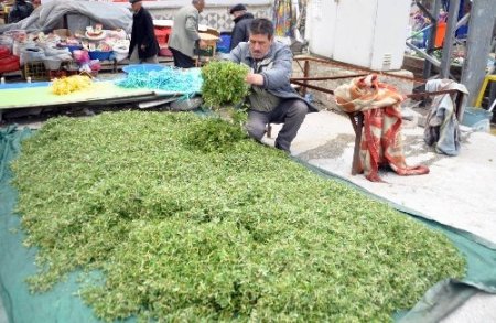 Köylü kadınların geçim kaynağı madımak