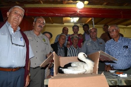 Köylüler, yaralı leylek için seferber oldu
