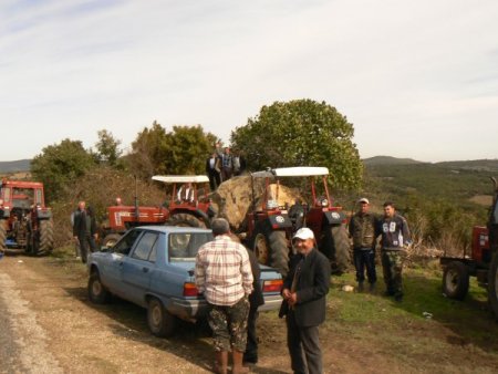 Köylüler arazilerinde define araması yapılmasını engelledi