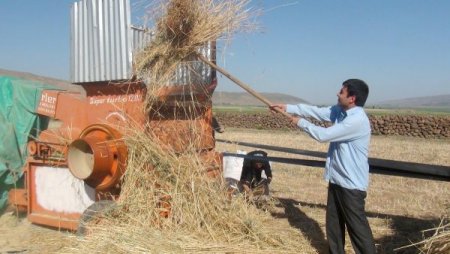 Köylüler Ramazan'da Hasada Devam Ediyor