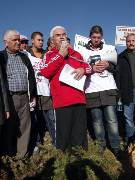 Köylülerden ağaç katliamı ve taşocağına tepki