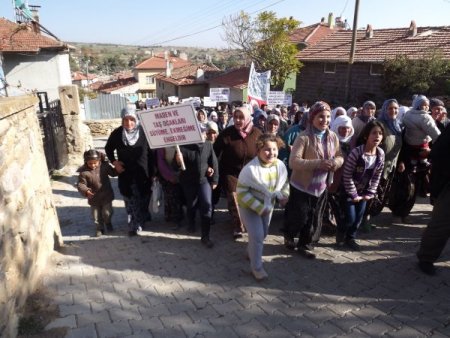 Köylülerden ağaç katliamı ve taşocağına tepki