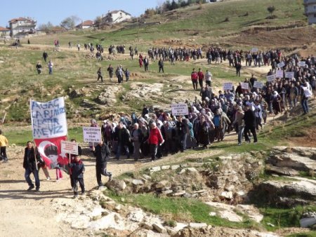 Köylülerden ağaç katliamı ve taşocağına tepki