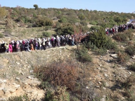 Köylülerden ağaç katliamı ve taşocağına tepki