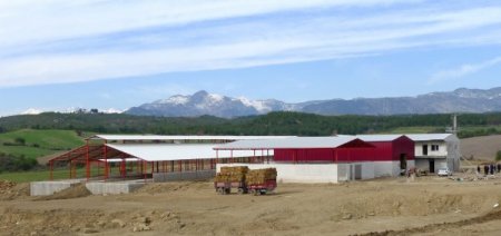 Köylünün Yüzünü Güldürecek Hayvancılık Projesi