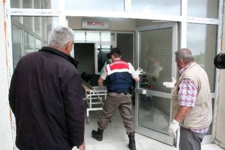 Koyun otlatan çoban, kadın cesedi buldu
