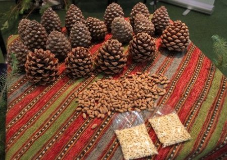 Kozak ürünleri fuarda ilgi odağı oldu