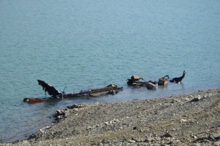 Kozan Barajı'ndaki turistik tekneye sabotaj şüphesi