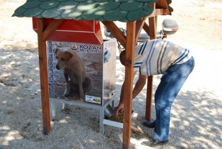 Kozan Belediyesi sokak hayvanları için beslenme üniteleri kurdu