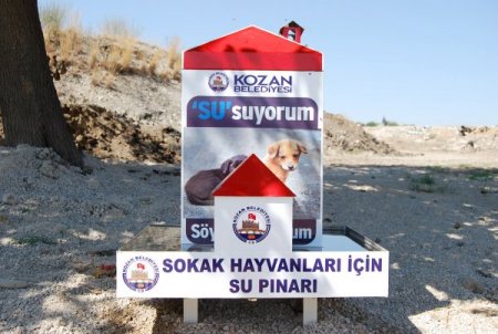 Kozan Belediyesi sokak hayvanları için beslenme üniteleri kurdu