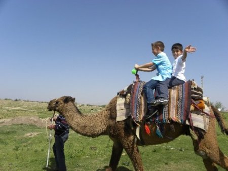 Kozan Burç Koleji velileri Şanlıurfa’yı gezdi