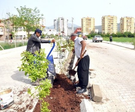 Kozan çiçeklerle süsleniyor