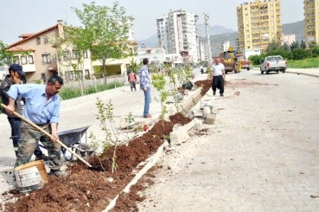 Kozan çiçeklerle süsleniyor