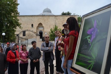 'Kozan Kalesi Çiçekleri ve Karacaoğlan' fotoğraf sergisi açıldı