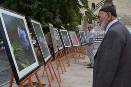 'Kozan Kalesi Çiçekleri ve Karacaoğlan' fotoğraf sergisi açıldı