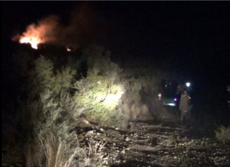 Kozan’da bir hektar zeytinlik ve makilik alan yandı