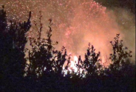 Kozan’da bir hektar zeytinlik ve makilik alan yandı