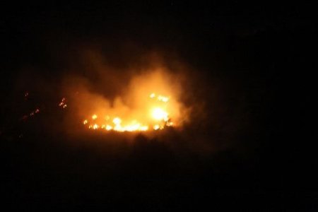 Kozan'da Çıkan Yangın 10 Hektarlık Alanı Kül Etti