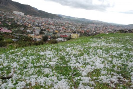 Kozan'da dolu yağışı etkili oldu
