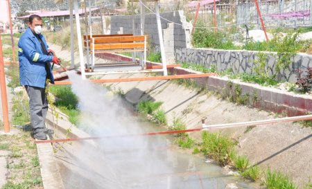 Kozan'da haşereye karşı larva mücadelesi başladı