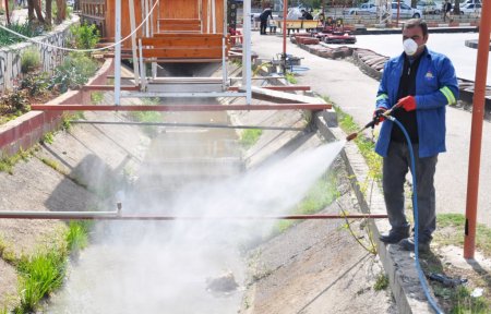 Kozan'da haşereye karşı larva mücadelesi başladı