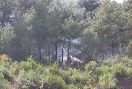 Kozan'da Orman Yangını