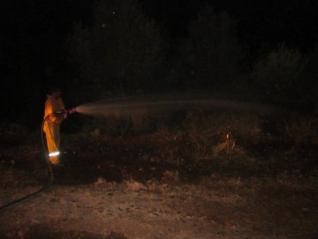 Kozan'da şüpheli orman yangını