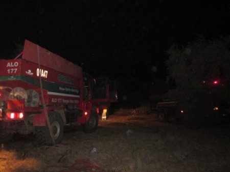 Kozan'da şüpheli orman yangını