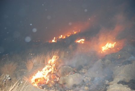 Kozan'da şüpheli orman yangını