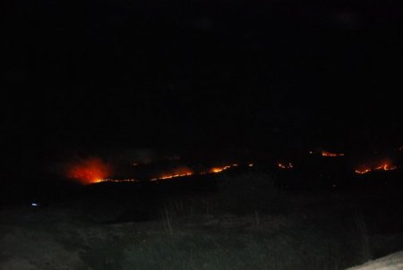 Kozan'da şüpheli orman yangını