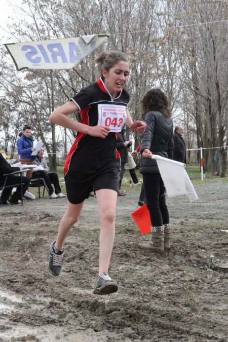 Krosta ağlatan yarışma