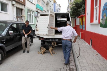 Kuaförde Uçucu Madde Çeken Şahıs, Polise Köpeği İle Direndi