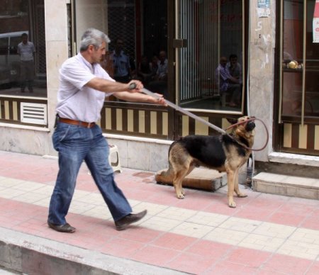 Kuaförde Uçucu Madde Çeken Şahıs, Polise Köpeği İle Direndi