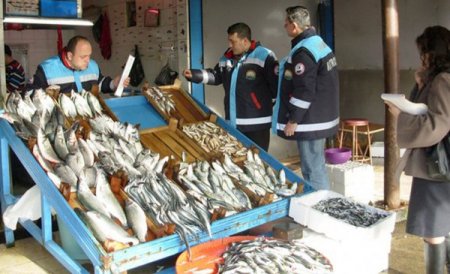 Küçük avlanan 60 ton hamsiye el konuldu