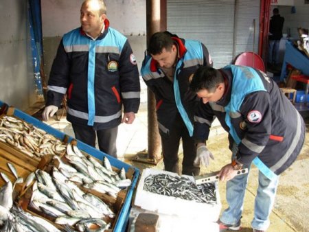 Küçük avlanan 60 ton hamsiye el konuldu