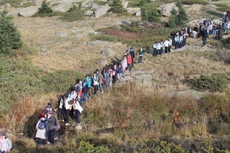 Küçük izciler, Uludağ'ı keşfetti