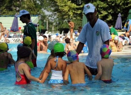 Küçük Timsahlar Havuza Girdi