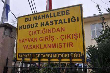 Kuduz vakası görülen köy karantinaya alındı