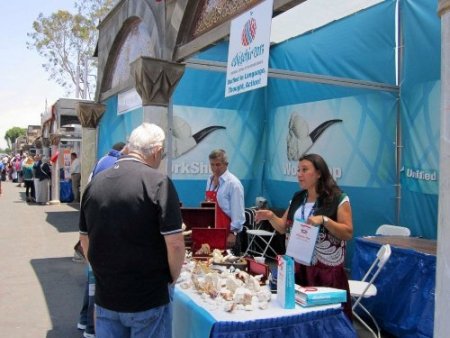 Kültür Başkenti Amerika’da