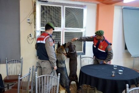 Kumarcı, tombala için servisle müşteri taşımış