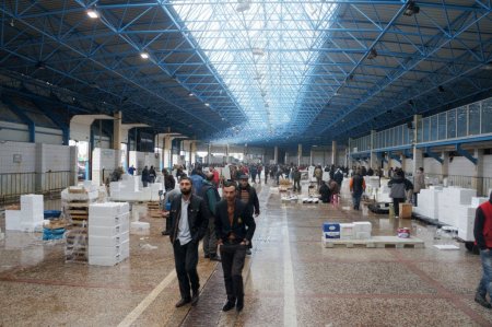 Kumkapı'da 5 ton balığa el kondu