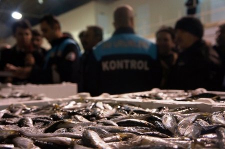 Kumkapı'da 5 ton balığa el kondu