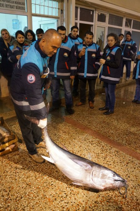 Kumkapı'da 5 ton balığa el kondu